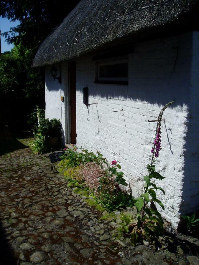 Stable Cottage 데비지스 외부 사진