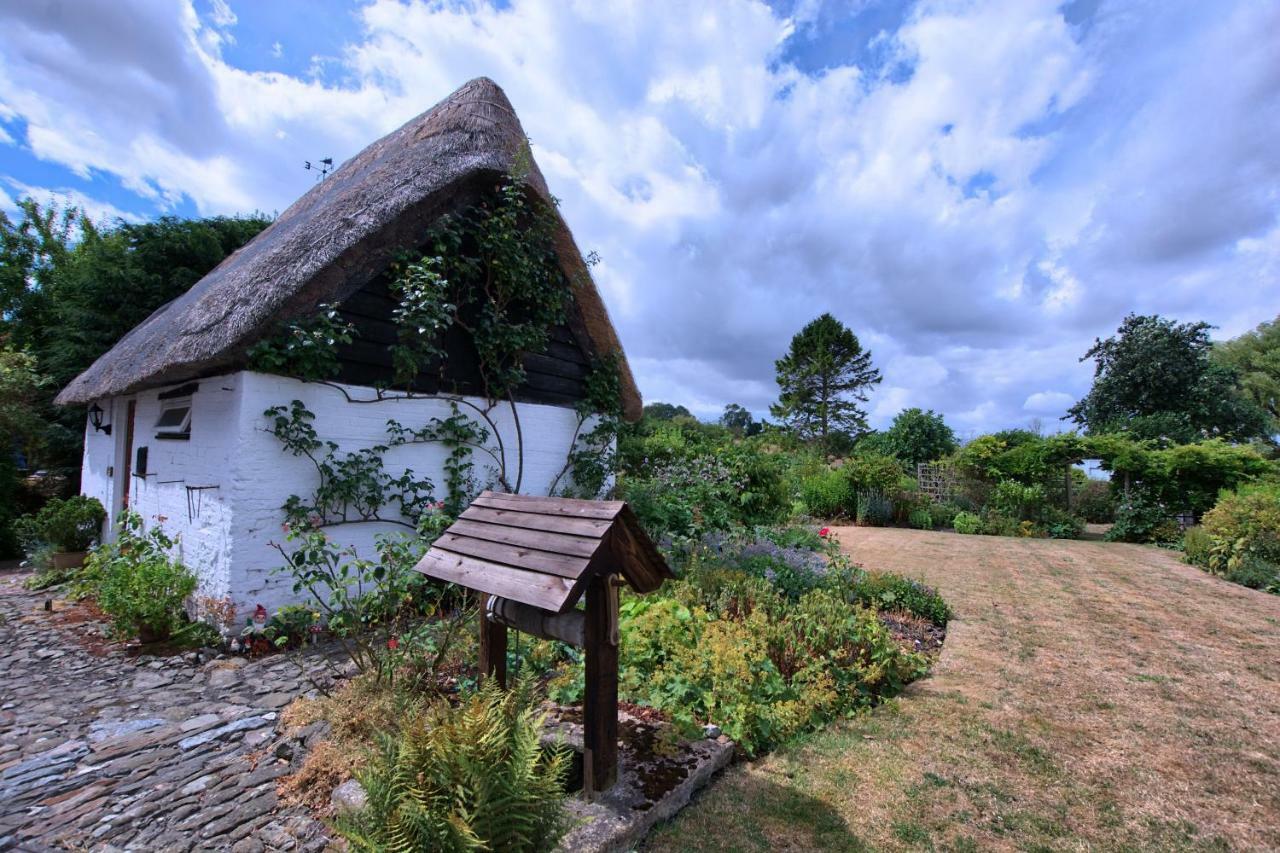 Stable Cottage 데비지스 외부 사진
